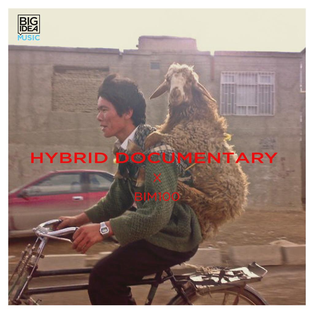 Album cover - Hybrid Documentary