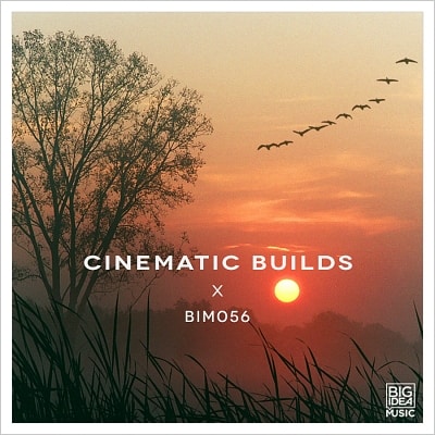 Album cover - Cinematic Builds